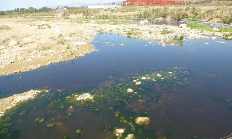 The state pollution control board insists that none of the factories in the area allow any pollutants to be discharged into the environment. The state of the surface water bodies, however, belies this statement.