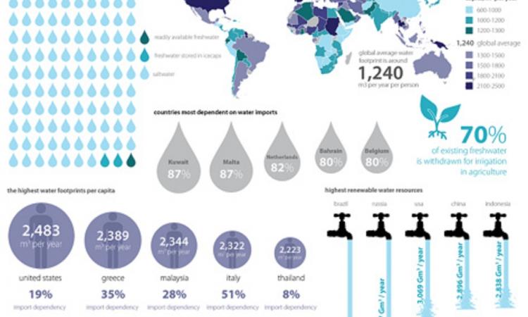 Global water footprint