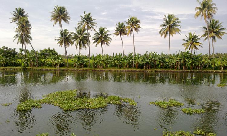 A lake in Kerala (Source: IWP Flickr Photos)
