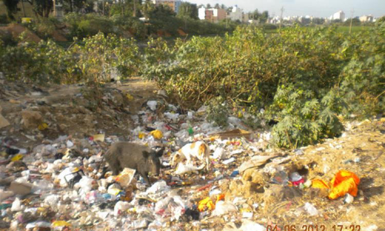 Garbage fills Sarakki Lake