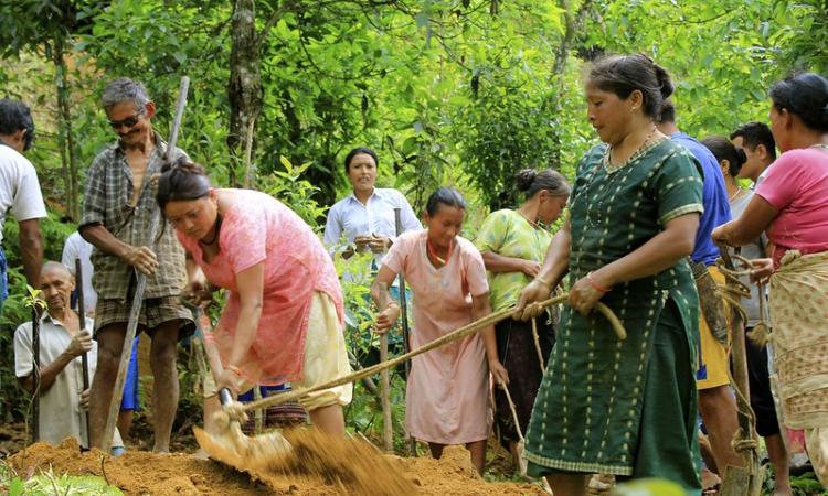 Local women and men engaged in digging trenches (Source: IWP Flickr photos). Pic for representation only