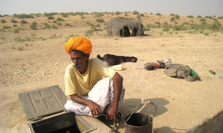 A taanka in the Thar desert