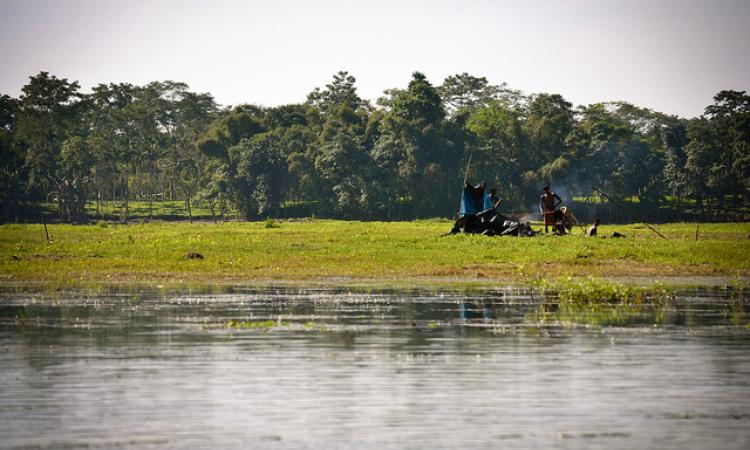 Maguri Beel (wetland) in Assam