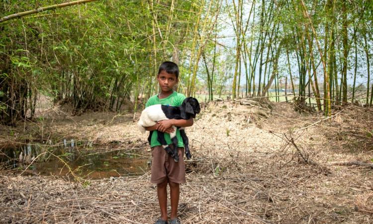 The Amphan swept away the chicken coops and other domestic animals. This is Anup Bhakta standing with one of the few goats left after the storm. (Image: WaterAid, Subhrajit Sen)