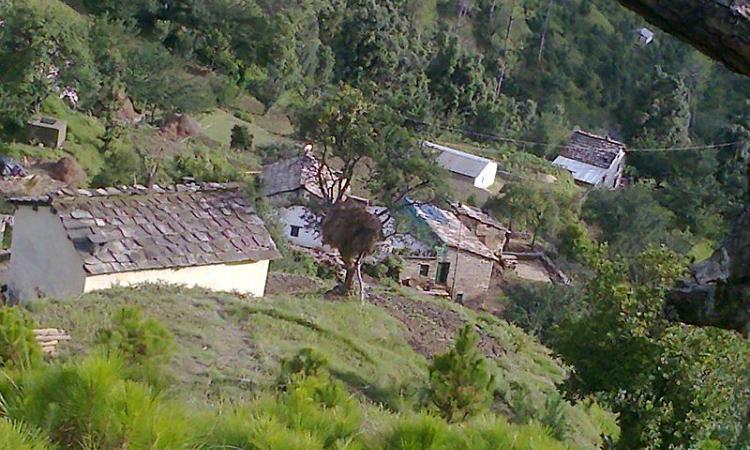 A view of a village in Almora district of Uttarakhand (Image: Raja Harjai, Flickr Commons)