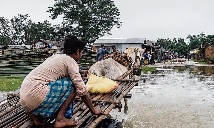 Assam plaued by the annual flood menace (Image Source: Akash Basumatari)