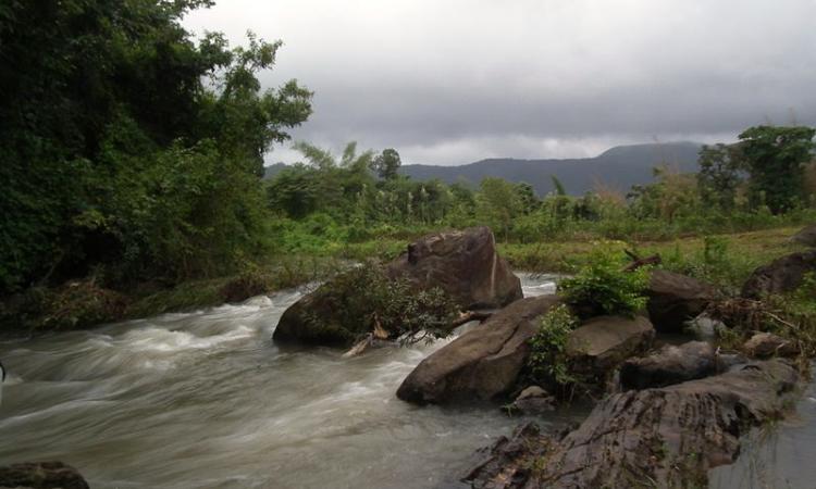 Cauvery river at Kodagu. Source: Rameshng/Wikimedia Commons