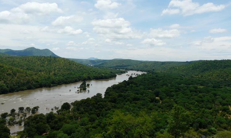 Cauvery river, Karnataka. (Source: Ashwin Kumar via Wikimedia Commons)