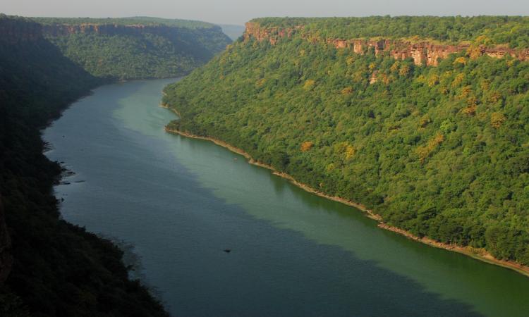 Chambal river near Kota (Source: Wikimedia commons)