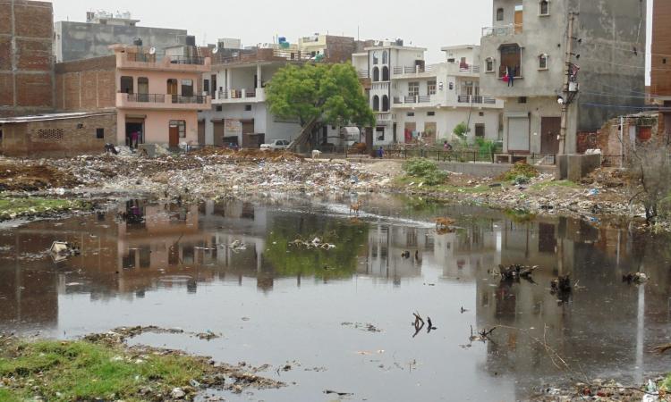 Contaminated water in Bhalaswa resettlement colony (Source: India Water Portal)