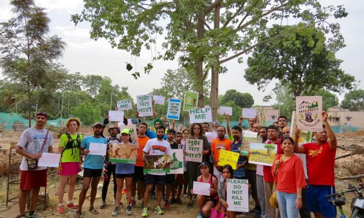 People of Delhi came out in large numbers recently and kick-started a movement to save trees. (Image: Delhi Trees SOS)