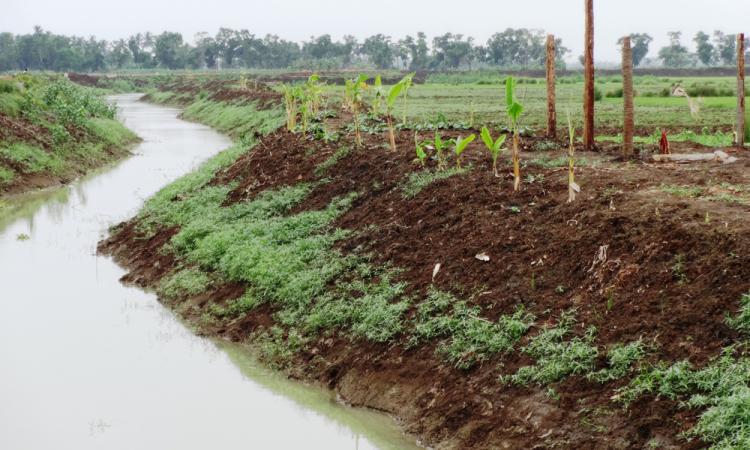 Canal restoration in Puri district (Source: Regional Centre for Development Cooperation)
