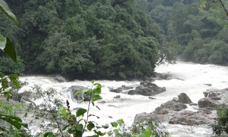 River Nethravathi (Source: Parineeta Dandekar via SANDRP)