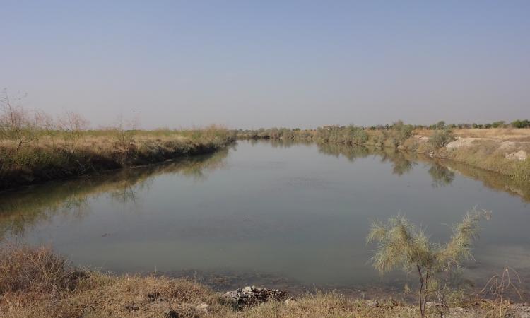 Around 15 lakes helped deal with soil salinity