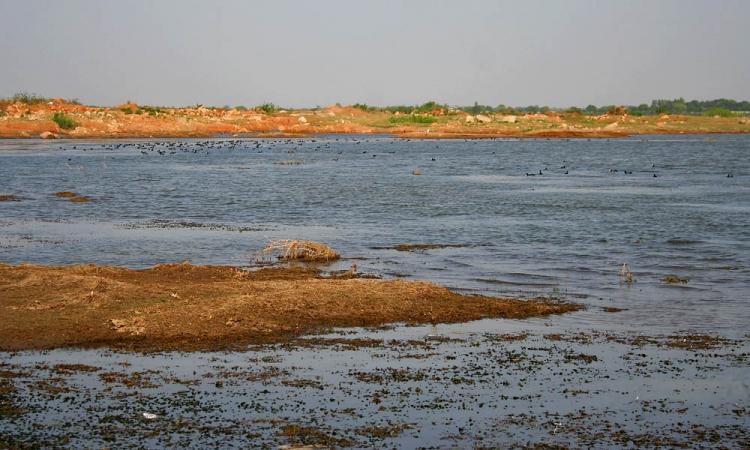Himayat Sagar lake in Hyderabad (Source: Wikimedia Commons)