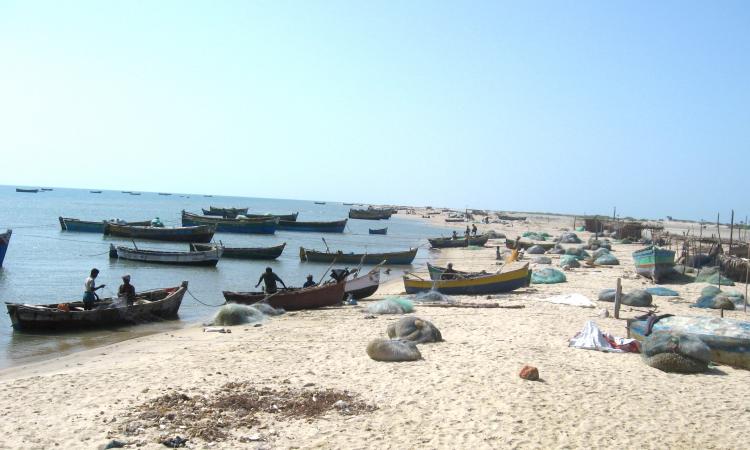 The fisherfolk of Dhanushkodi