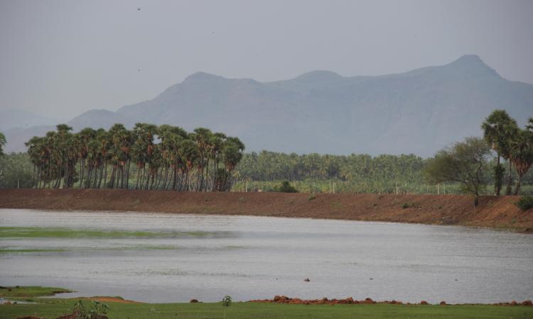 View of a 'Kanmai' in Madurai