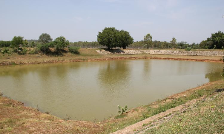 Small tank near Thalambedu in Kanchipuram