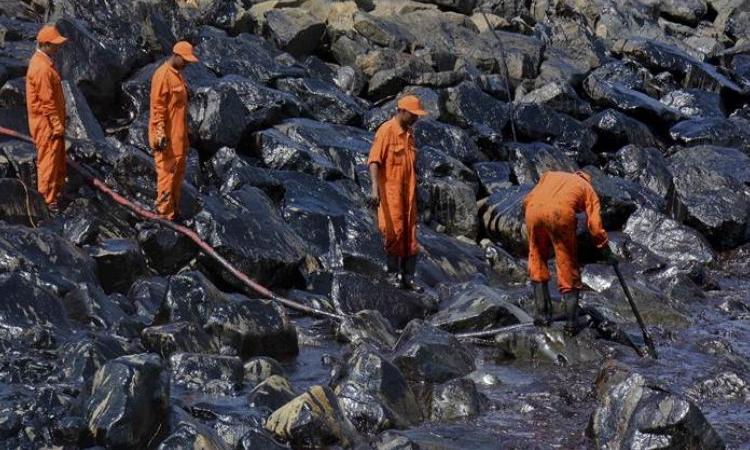 Oil sludge being manually removed from the rocky coast. (Image courtesy: The Indian Express)