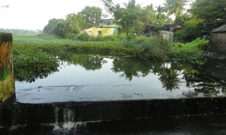 Irumbuliyur lake outlet from where entire rain water is expected to be drained (Source: P Sakthivel) 