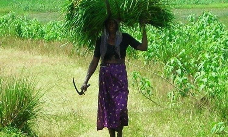 Women work under poor working conditions. (Source: Wkimedia Commons) 