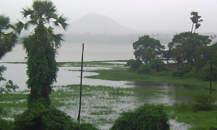 Powai Lake, Mumbai. (Source: Wikipedia)