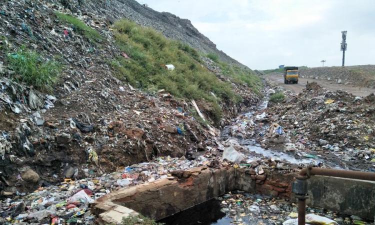 Delhi's garbage (Picture courtesy: Hindustan Times)