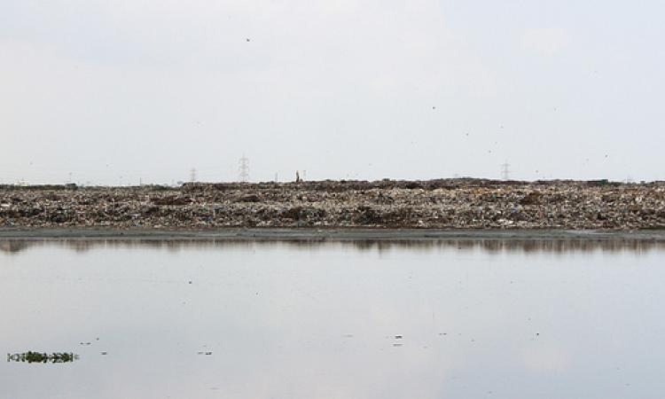 Perungudi dump yard chokes the Pallikaranai marshland.