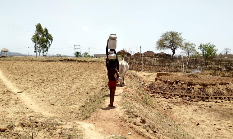 Child walks through the parched field for kilometers to fetch water in peak summer in village Banjari (Image: Reshma Sahoo)