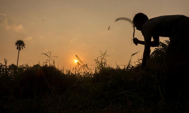 A farmer in Pochampally (Image:Saurabh Chatterjee, Flickr Commons, CC BY-NC-ND 2.0)