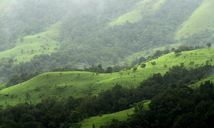 Shola grasslands, Kudremukh National Park, Karnataka (Image Source: Wikimedia Commons)