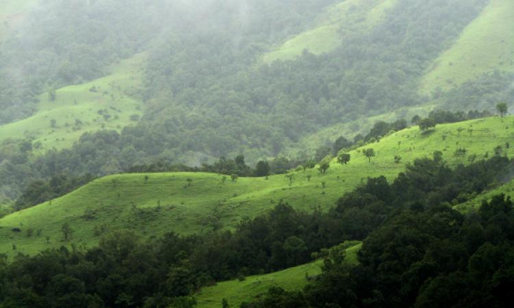 Shola grasslands in Western Ghats Source:Wikipedia
