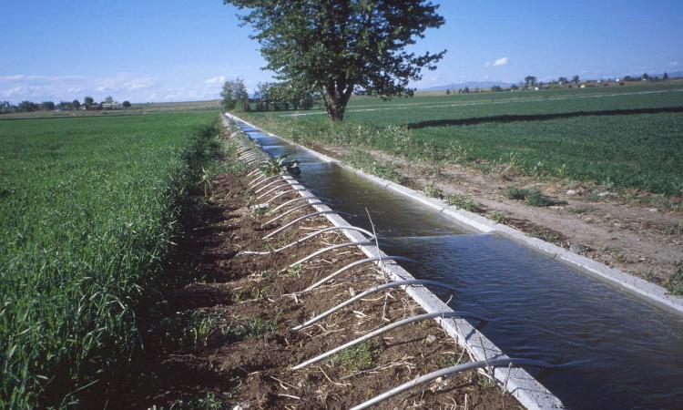 Irrigation canal in Maharashtra (Source:Wikipedia)