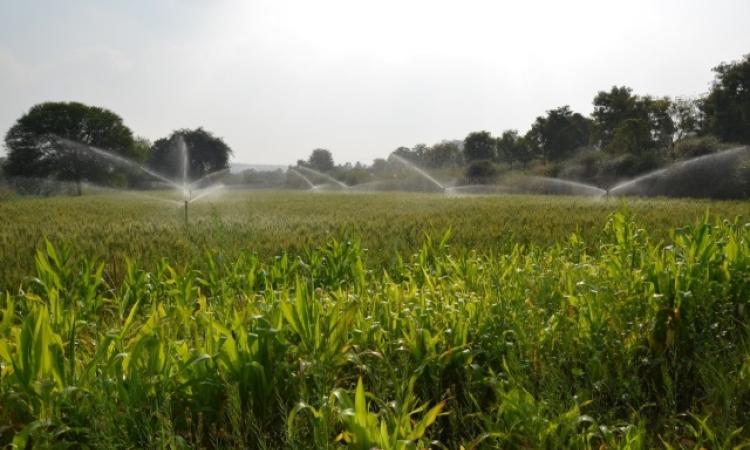 Sprinkler irrigation in Narayanganj block, Mandla district, Madhya Pradesh (Image Source: WOTR)