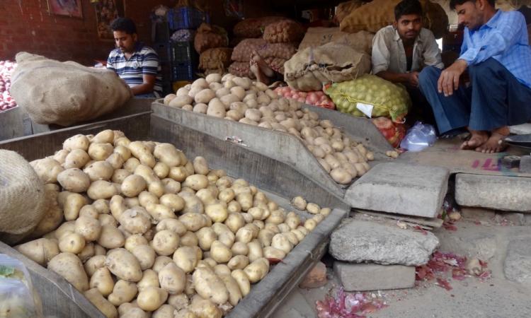 More than potatoes, it's the seed that Punjab is famous for.