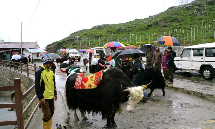 Tourists at Tsomgo Lake, Sikkim