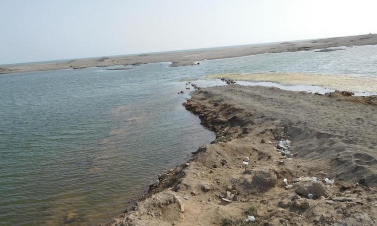 The path built for illegal sand mining at the Triveni Sangam.