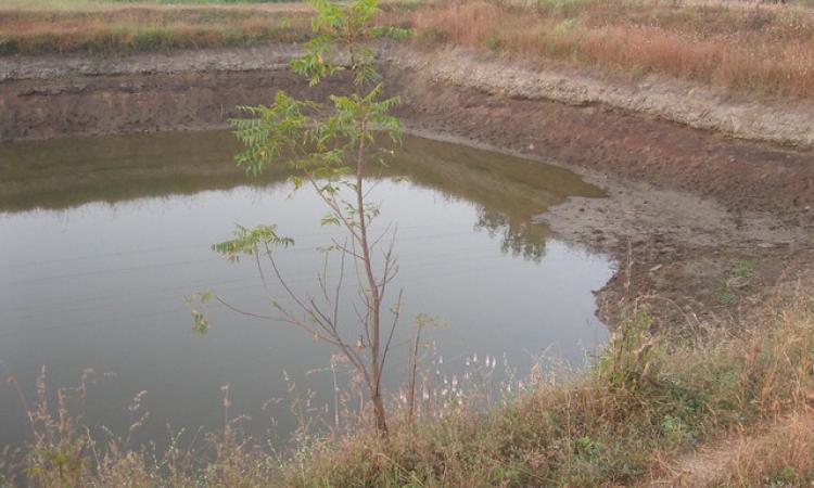 Farm ponds are one way to deal with water scarcity (Image Source: India Water Portal Flickr photos)