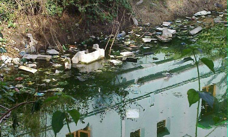 Water-borne litter in Salem, Tamil Nadu. (Source: Parvathisri, Wikimedia Commons)