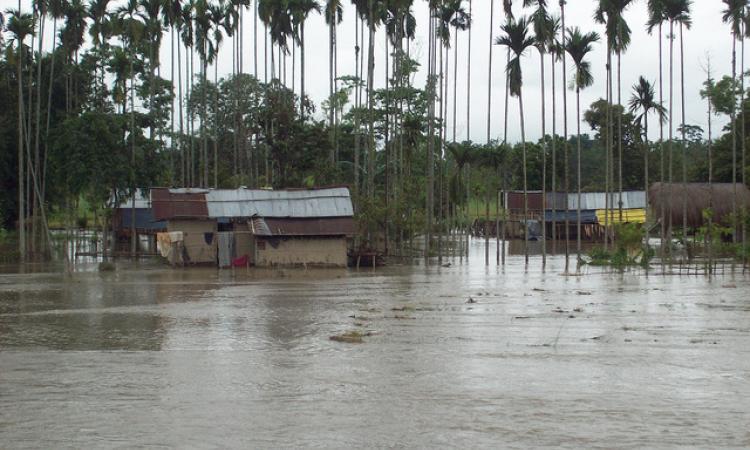 Devastation due to floods