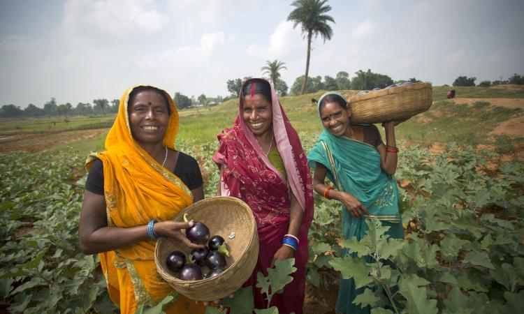 Women farmers produce vegetables through innovative farming practices in Banka, Bihar. They can sell their produce at regional markets, and earn a better income for their families. (Image: USAID, Flickr Commons, CC BY-NC-ND 2.0)