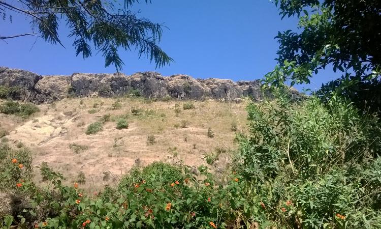 Basalt rocks characterize the Deccan Plateau