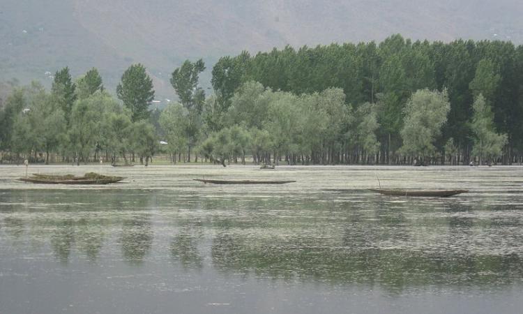 View of the Wular Lake (Source: Wikimedia Commons)